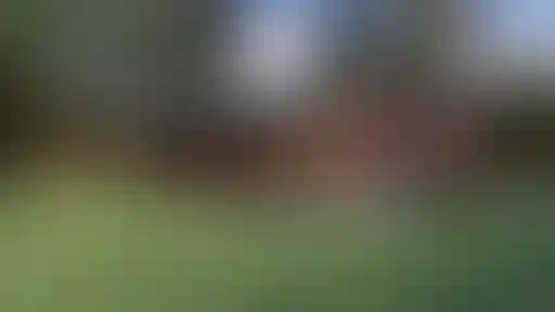 Изображение 0