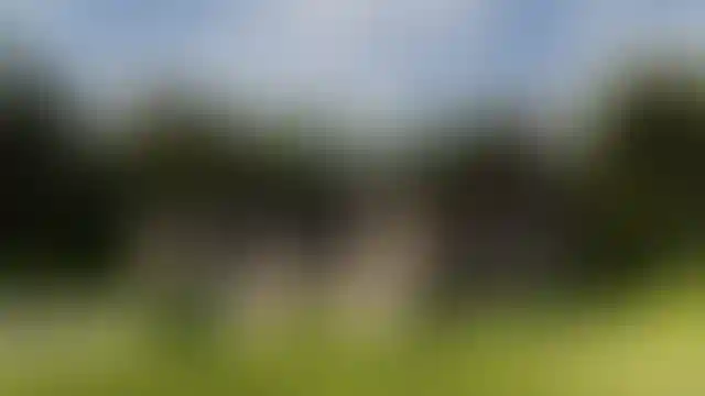 Изображение 0