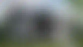 Изображение 0