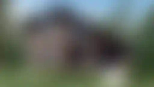 Изображение 0