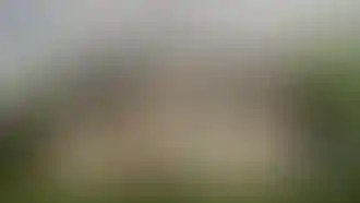 Изображение 0