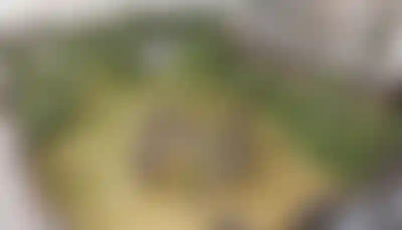 Изображение 14