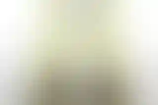 Изображение 12