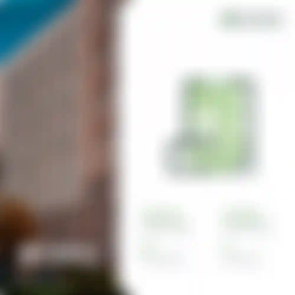 Изображение 0