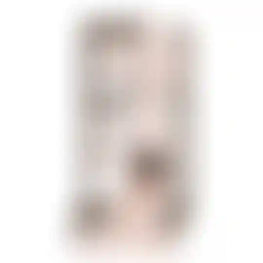 Изображение 0