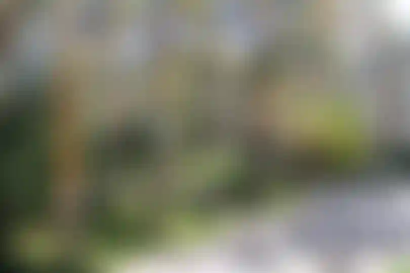 Изображение 24