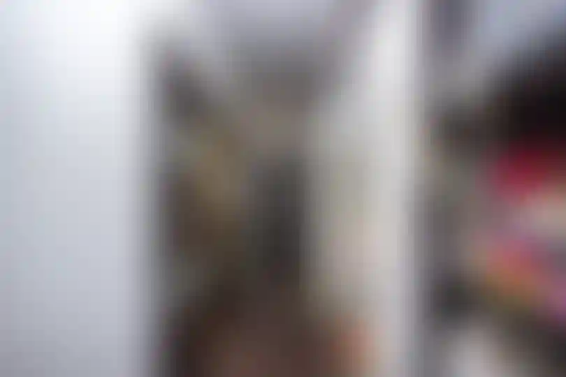 Изображение 12