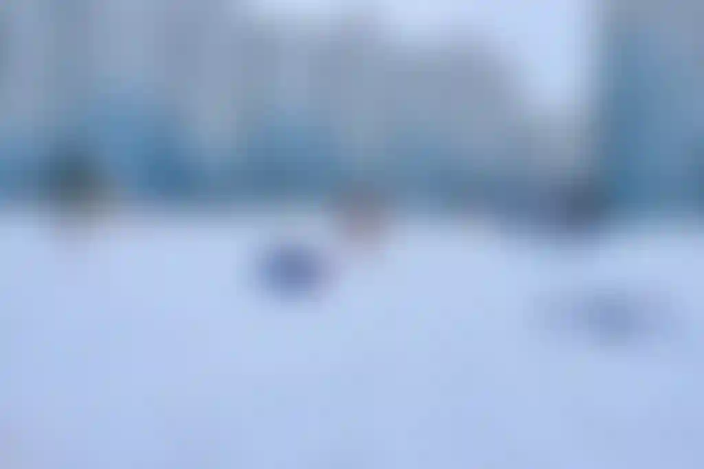 Изображение 18