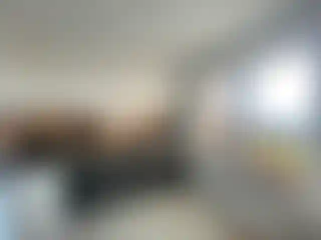 Изображение 0