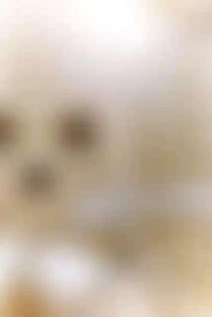 Изображение 25