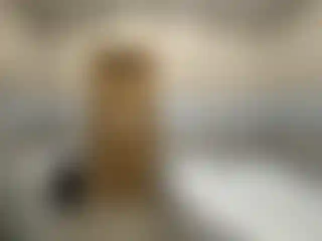 Изображение 21