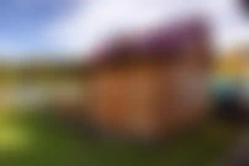 Изображение 20