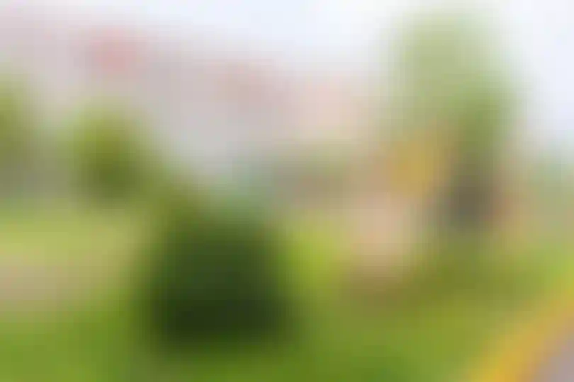 Изображение 24