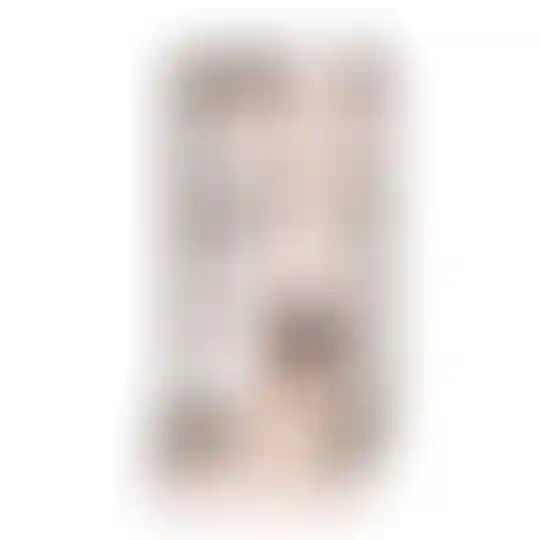 Изображение 0