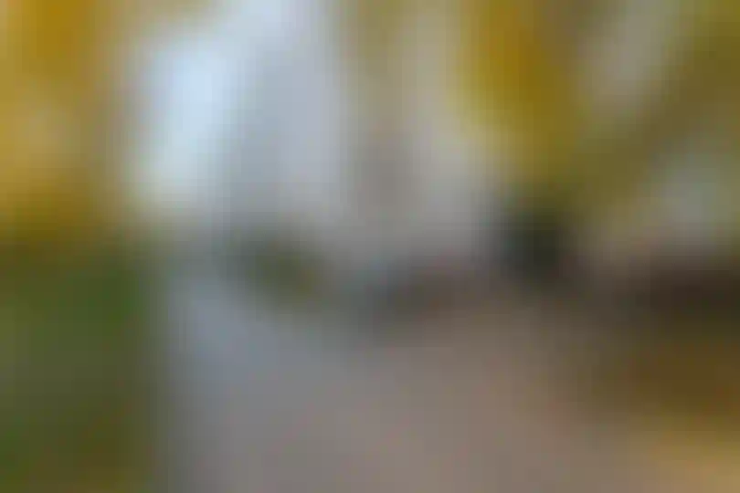 Изображение 21