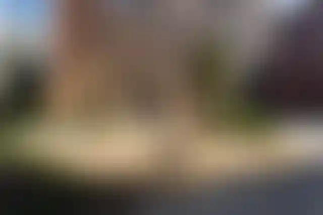 Изображение 12