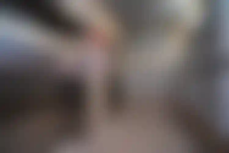 Изображение 17