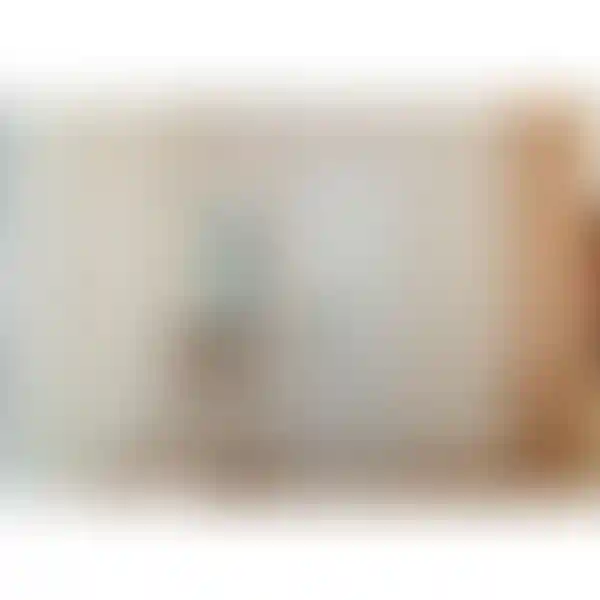 Изображение 14