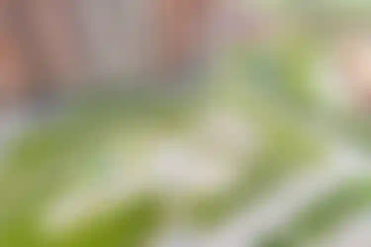 Изображение 10