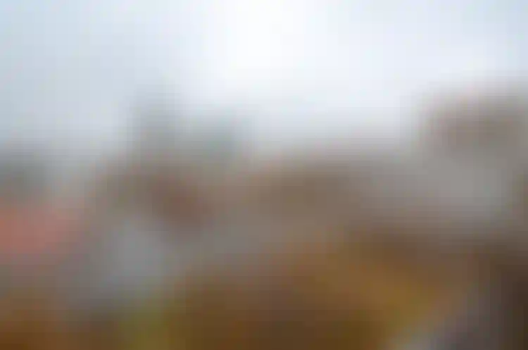 Изображение 14