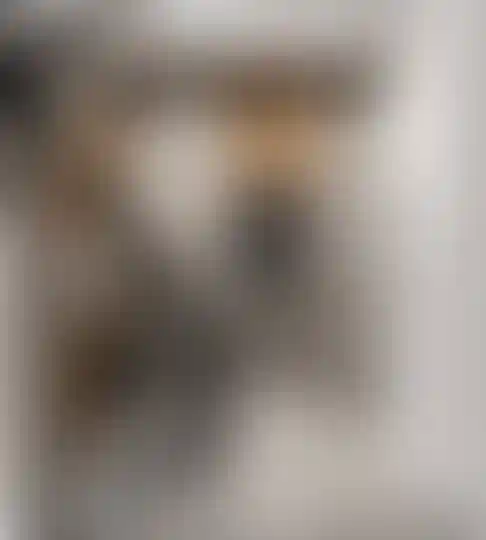 Изображение 14