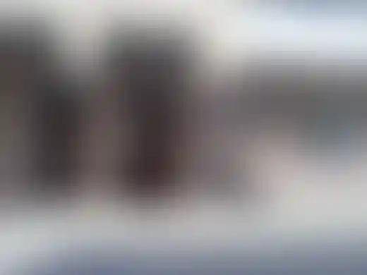 Изображение 14