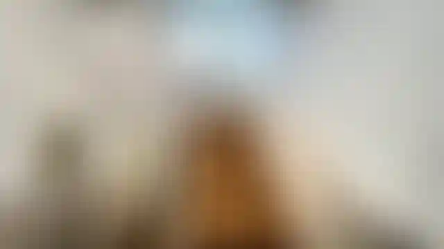 Изображение 15