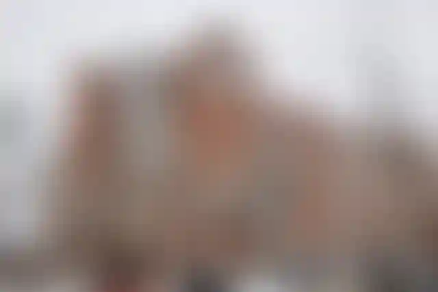 Изображение 0