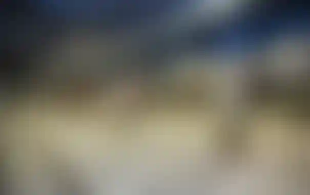 Изображение 0