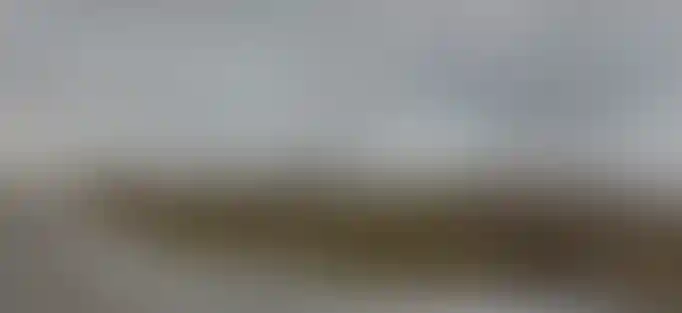 Изображение 0