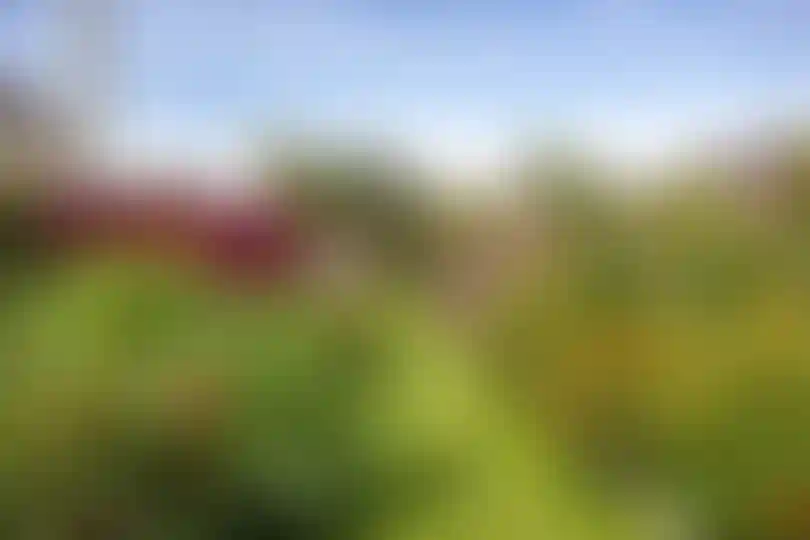 Изображение 32