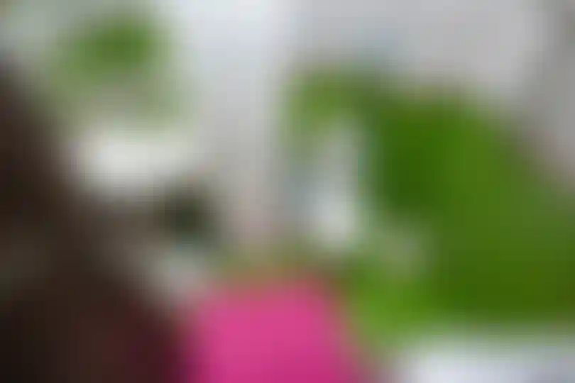 Изображение 34