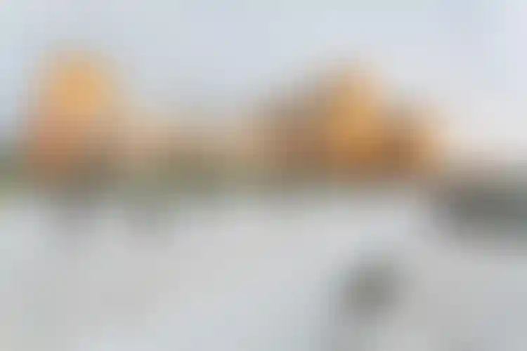 Изображение 31