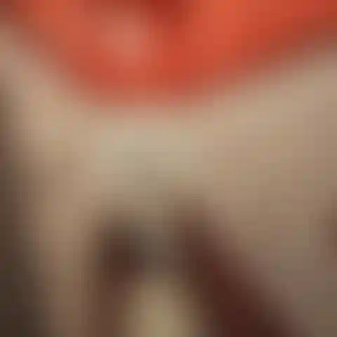 Изображение 26