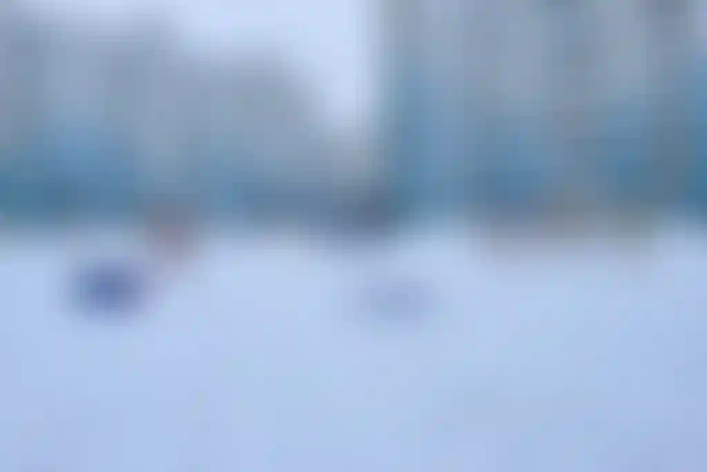 Изображение 16