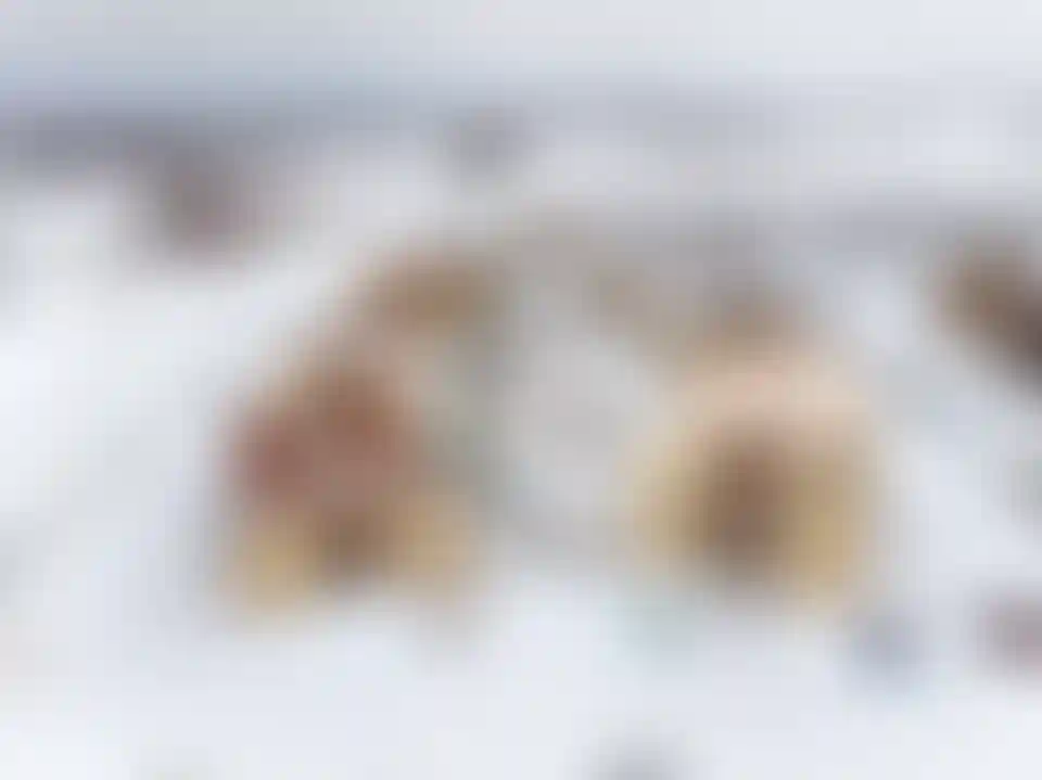 Изображение 21