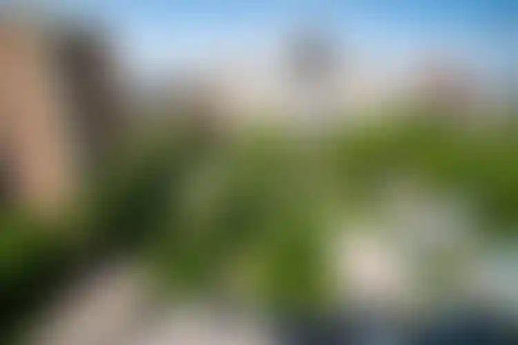 Изображение 32