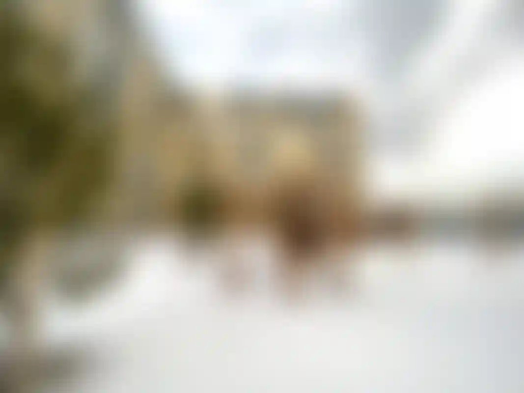 Изображение 18