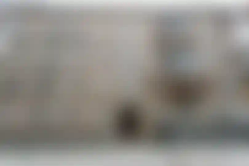 Изображение 21