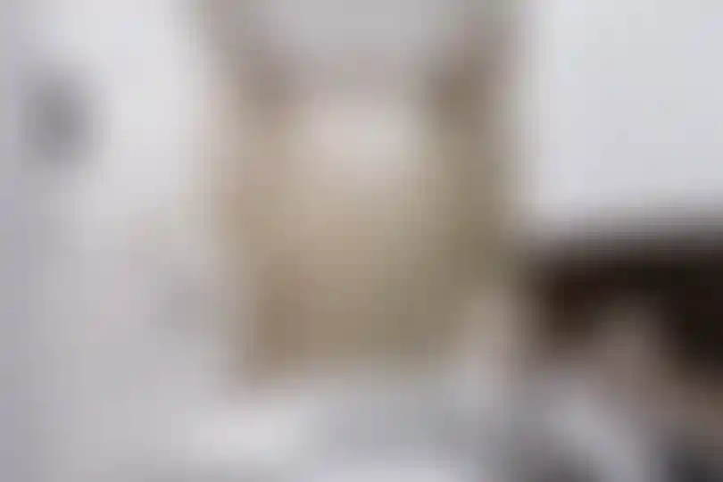 Изображение 12