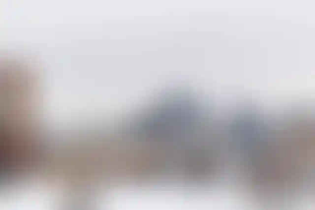 Изображение 44