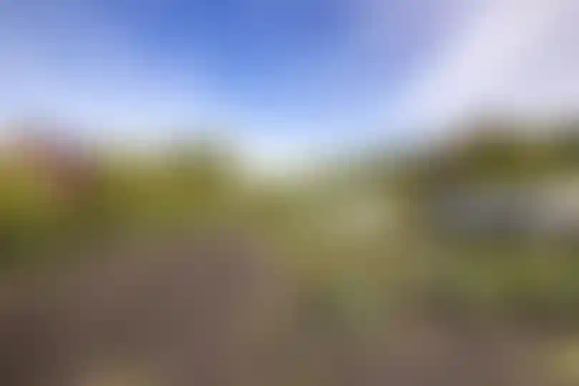 Изображение 25