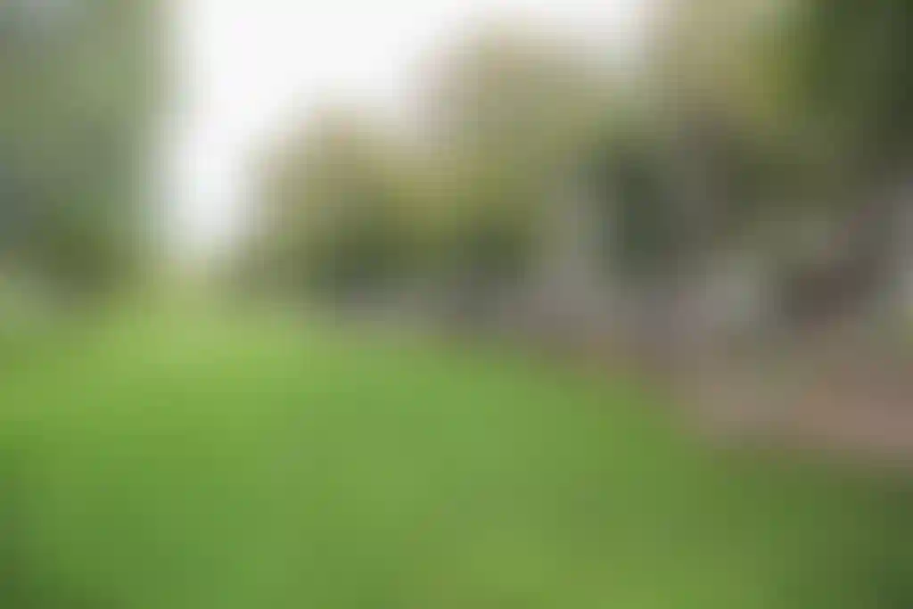 Изображение 31