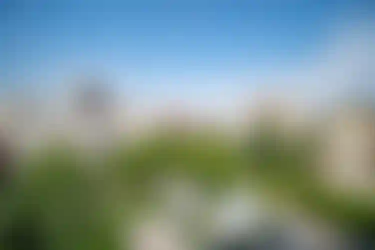 Изображение 33