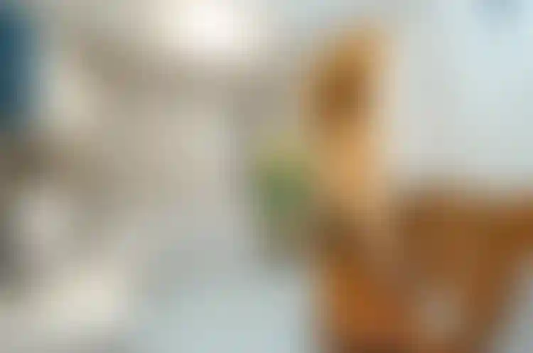 Изображение 10