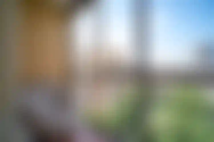 Изображение 29