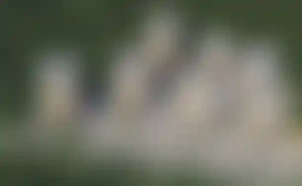 Изображение 17