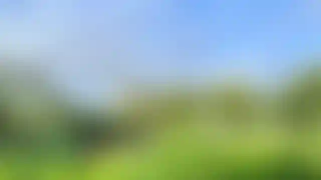 Изображение 27