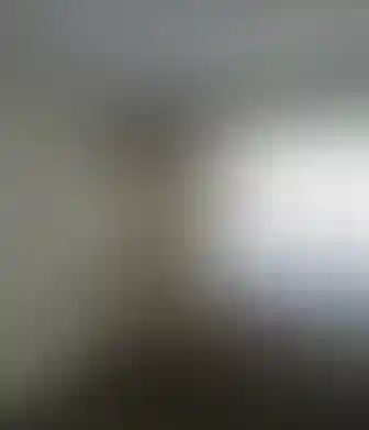 Изображение 0