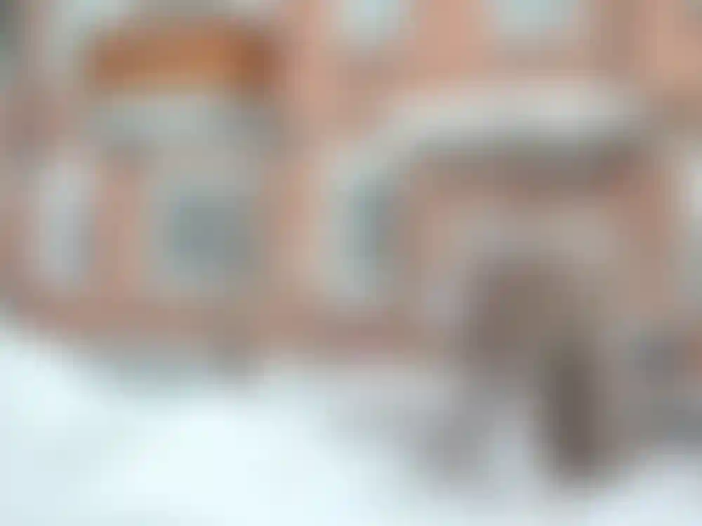 Изображение 12